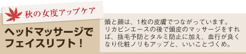 ヘッドマッサージでフェイスリフト!頭と顔は、1枚の皮膚でつながっています。リカピンエースの後で頭皮のマッサージをすれば、抜毛予防とタルミ防止に加え、血行が良くなり化粧ノリもアップと、いいことづくめ。