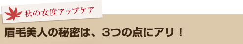眉毛美人の秘密は、3つの点にアリ!