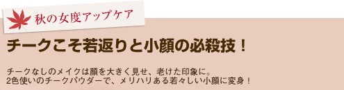 チークこそ若返りと小顔の必殺技!チークなしのメイクは顔を大きく見せ、老けた印象に。2色使いのチークパウダーで、メリハリある若々しい小顔に変身!